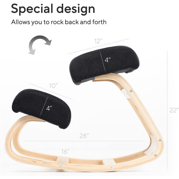 Luxton Home Ergonomic Chair Work from Home Posture Chair with Extra